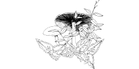 Plants & Mushrooms
